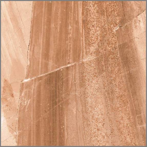 بوتکینو مارون